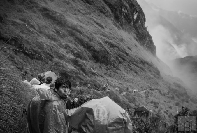 Looking back into the past